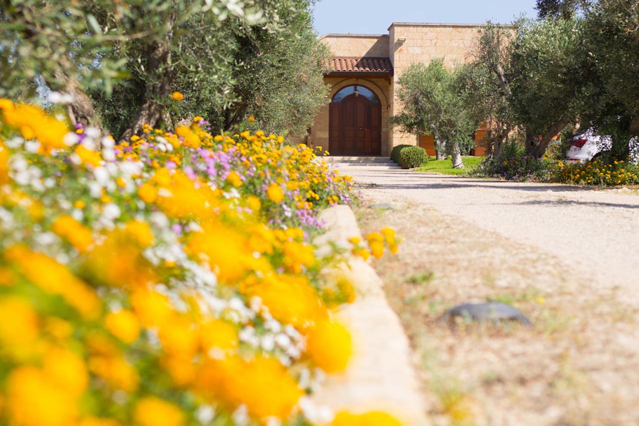 Biancolivo Gallipoli In Salento Экстерьер фото